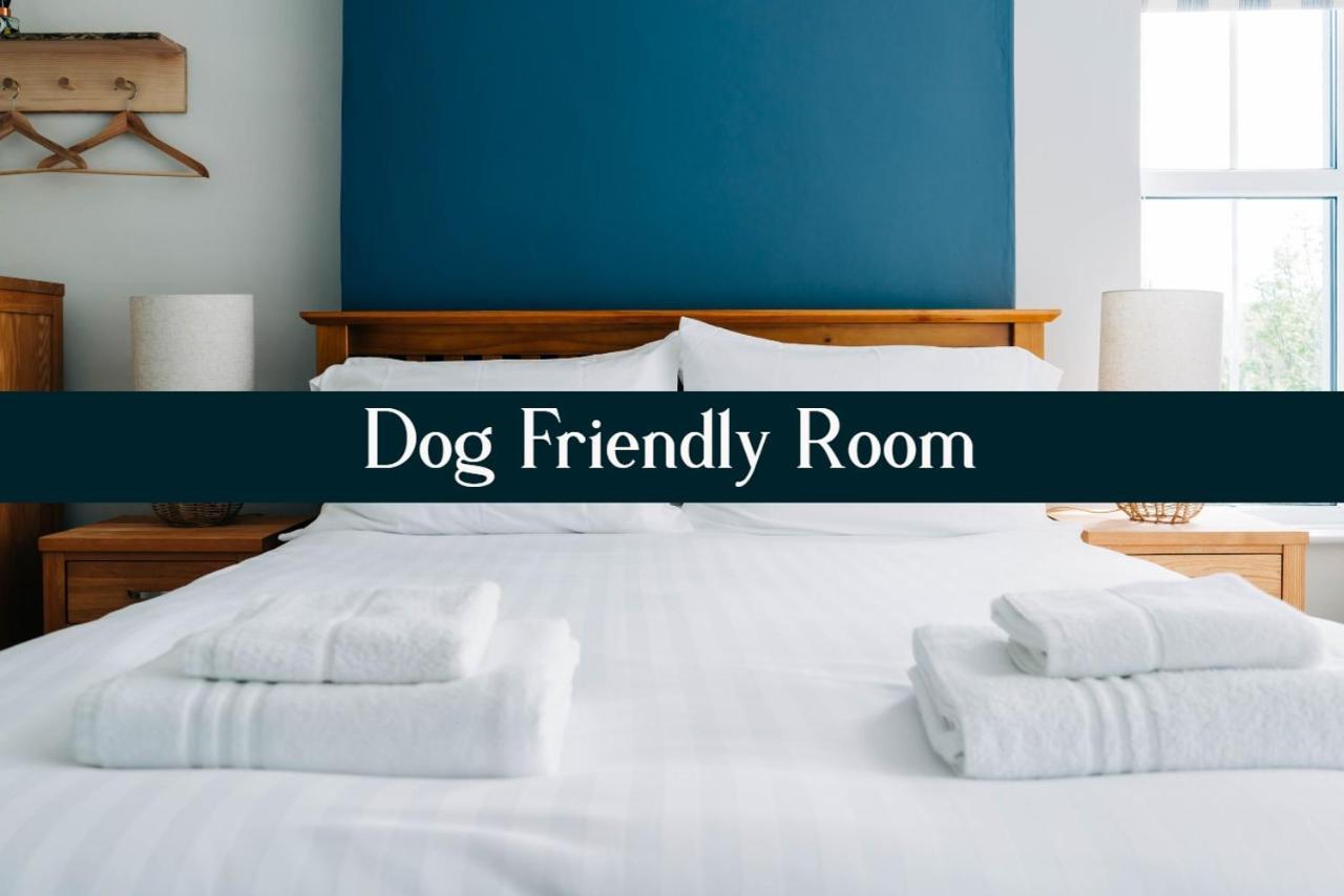 Bryn Berwyn Country House Tresaith Penbryn Номер фото